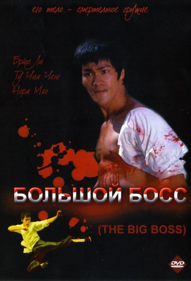 Фильм Большой босс (1971) смотреть онлайн в HD качестве